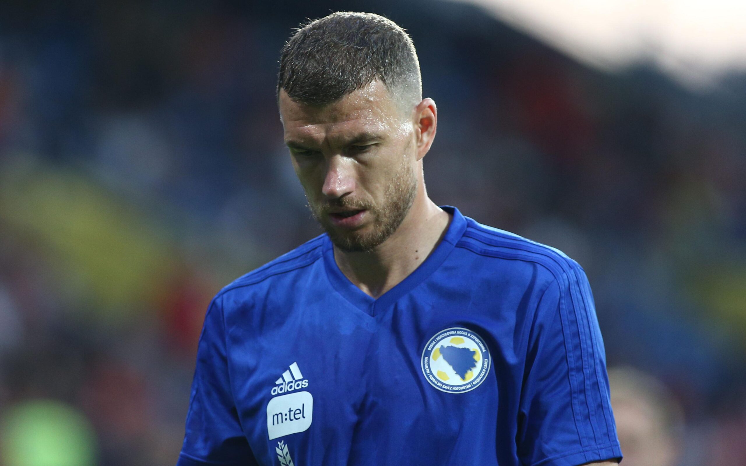 Боснія і Герцеговина футбол